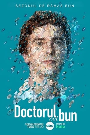 Doctorul cel bun - The Good Doctor (2017)