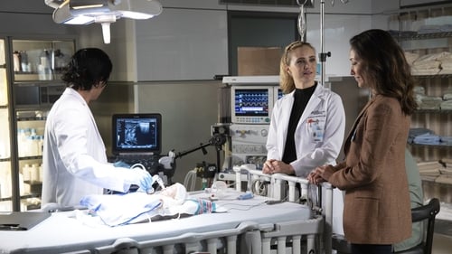 movies/2024-09-16/the-good-doctor-bgy0SlGs09R4o5Toj3VmWRSwXFw.jpg