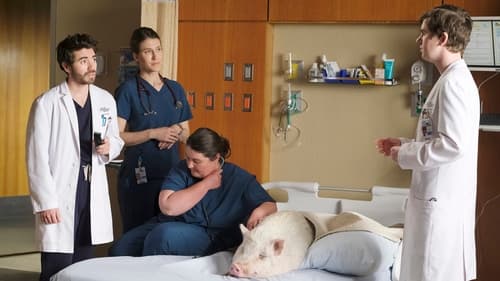 movies/2024-09-16/the-good-doctor-zvPyVqkP5leyK4NjiwMhbVDwD0R.jpg