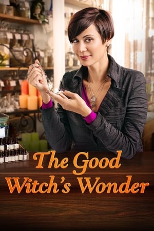 Bienvenue dans la famille - The Good Witch's Wonder (2014)