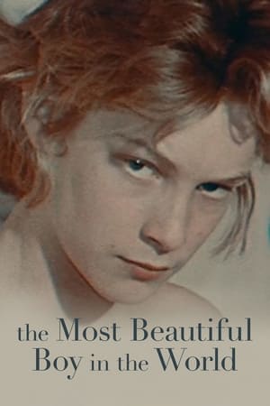 L'ange blond de Visconti - The Most Beautiful Boy in the World (2021)