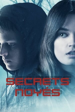 Le lac des secrets - The Winter Lake (2020)