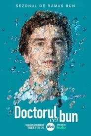 Doctorul cel bun - The Good Doctor (2017)