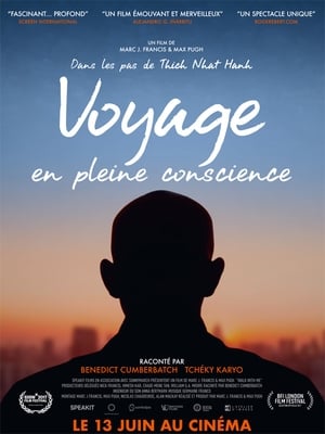 Voyage en pleine conscience - Walk with Me (2017)