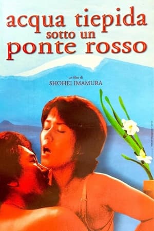 Acqua tiepida sotto un ponte rosso - Warm Water Under a Red Bridge (2001)