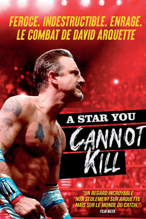 A Star You Cannot Kill - You Cannot Kill David Arquette (2020)
