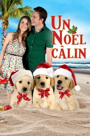 Un Noël canin : La deuxième chance - 3 Holiday Tails (2011)