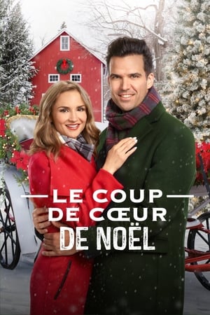 Le coup de cœur de Noël - A Blue Ridge Mountain Christmas (2019)