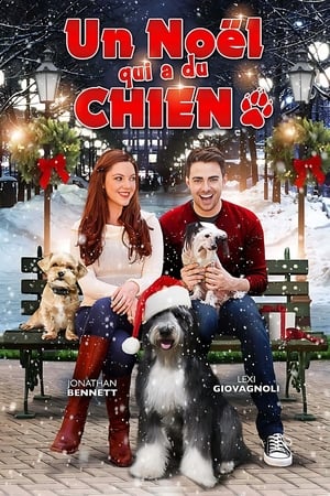 Un Noël qui a du chien - A Dogwalker's Christmas Tale (2015)