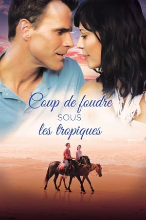 Coup de foudre sous les tropiques - A Summer to Remember (2018)