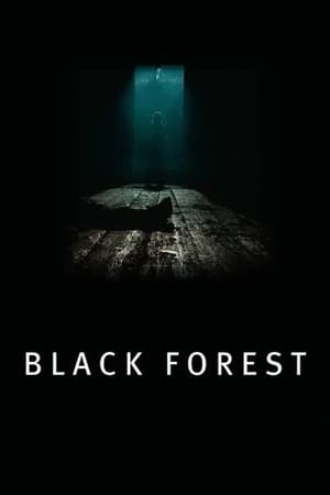 Les Secrets de la forêt noire - Black Forest (2012)