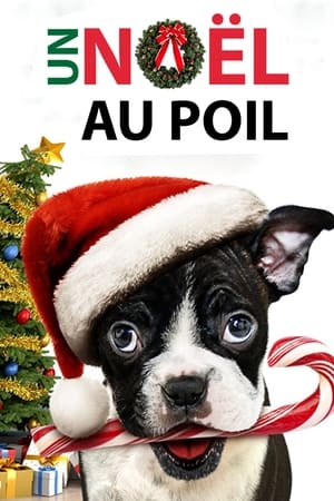 Un Noël au poil - Bone Alone (2013)