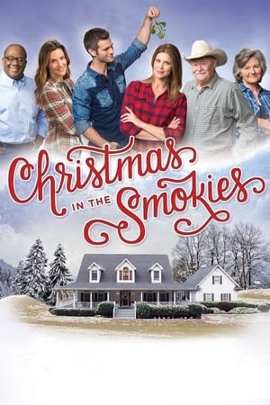 Noël dans les montagnes - Christmas in the Smokies (2015)