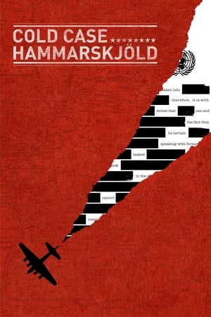Cold Case Hammarskjöld (2019)