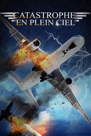 Catastrophe en plein ciel - Collision Course (2012)