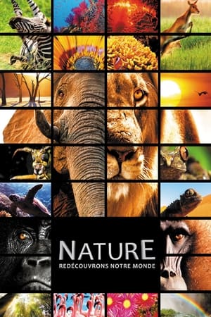 Nature - Enchanted Kingdom (2014)