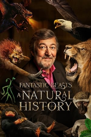 Les Animaux fantastiques : Aux origines du mythe - Fantastic Beasts: A Natural History (2022)