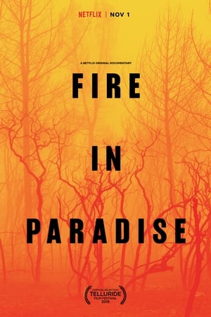 Paradise en flammes - Fire in Paradise (2019)