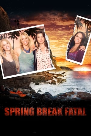 Spring Break fatal - Gone Missing (2013)