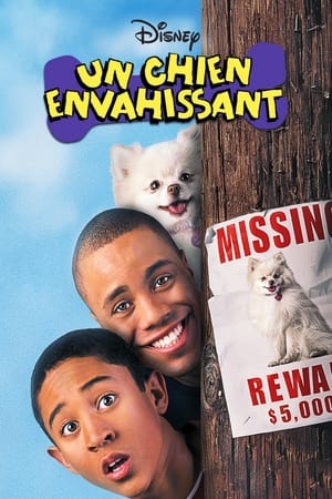 Un Chien Envahissant - Hounded (2001)