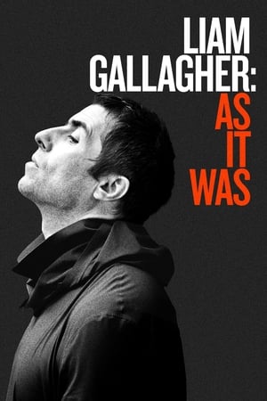 Liam Gallagher : As It Was - Liam Gallagher: As It Was (2019)
