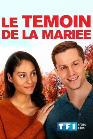 Le témoin de la mariée - Love at Look Lodge (2020)
