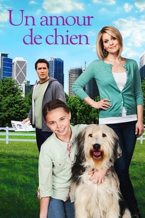 Un amour de chien - Puppy Love (2012)