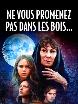 Ne vous promenez pas dans les bois... - The Watcher in the Woods (2017)