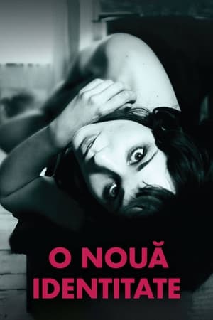 O nouă identitate - Trap for Cinderella (2013)