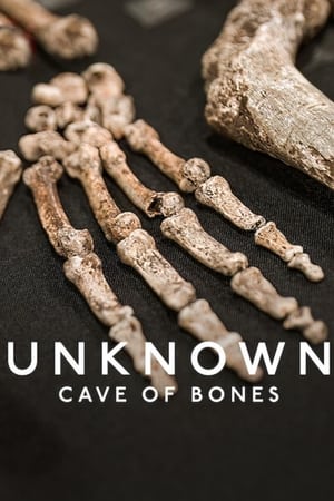Dans L'Inconnu : La Grotte Aux Ossements - Unknown: Cave of Bones (2023)