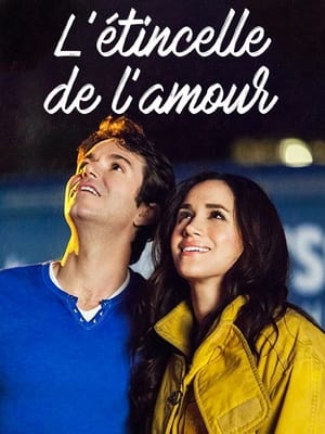 L'Étincelle de l'amour - When Sparks Fly (2014)