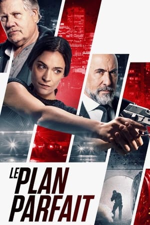 Le Plan Parfait - A Perfect Plan (2020)