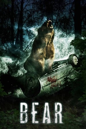 Grizzly - Bear (2010)