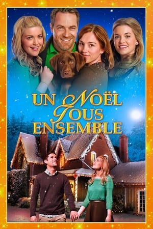 Un noël tous ensemble - Coming Home for Christmas (2013)