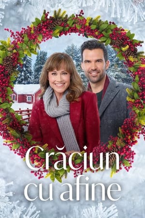Crăciun cu afine - Cranberry Christmas (2020)