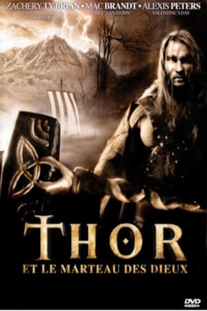 Thor et le Marteau des Dieux - Hammer of the Gods (2009)