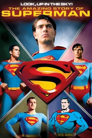 L'incroyable histoire de Superman - Look, Up in the Sky! The Amazing Story of Superman (2006)
