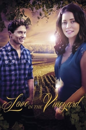 Amour & vignobles - Love in the Vineyard (2016)
