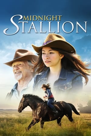Angel et Moi - Midnight Stallion (2013)
