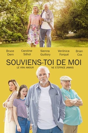 Souviens-toi de moi - Remember Me (2019)