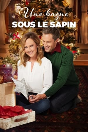 Une bague sous le sapin - Reunited at Christmas (2018)
