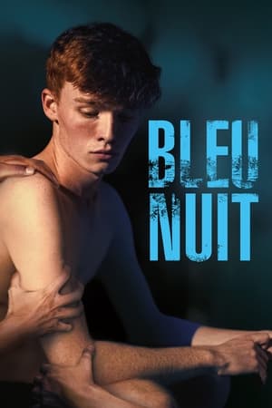 Bleu nuit - Sequin in a Blue Room (2019)