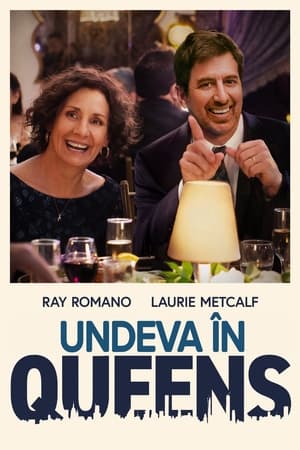 Somewhere in Queens (2023)