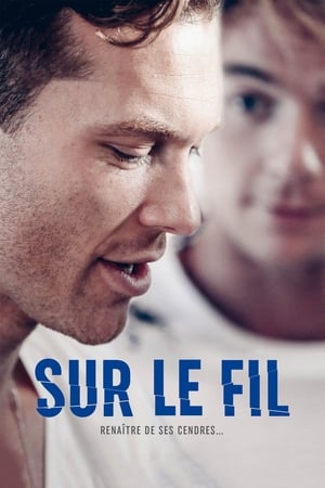 Sur le fil - Steel (2015)
