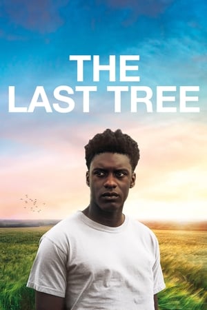 Ultimul copac - The Last Tree (2019)