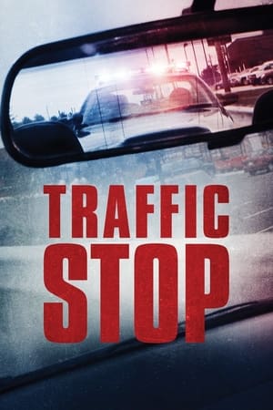 Oprită în trafic - Traffic Stop (2017)