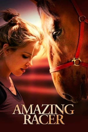 La Course d'une vie - Amazing Racer (2009)