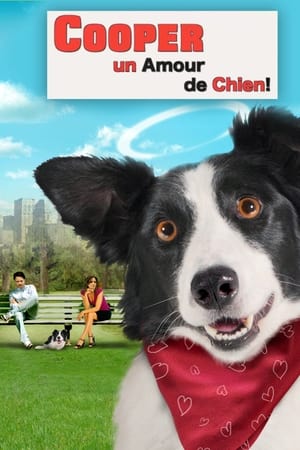 Cooper, un amour de chien - Angel Dog (2011)