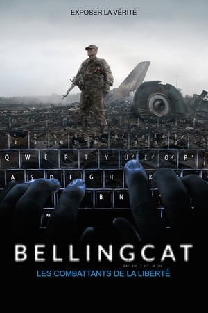 Bellingcat : les combattants de la vérité - Bellingcat: Truth in a Post-Truth World (2018)