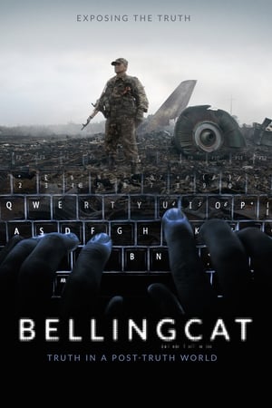 Bellingcat: Adevărul întro lume post-adevăr - Bellingcat: Truth in a Post-Truth World (2018)